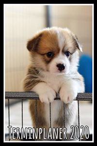 Terminplaner 2020