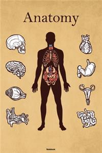 Anatomy Notebook