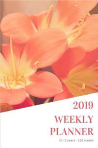 Orchids Garden 2019 Weekly Planner for Women