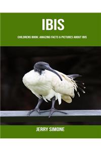 Childrens Book: Amazing Facts & Pictures about Ibis