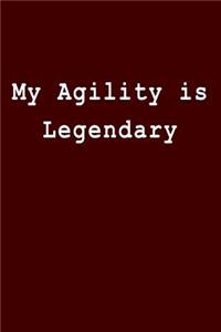My Agility Is Legendary