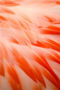 Flamingo Feathers Journal