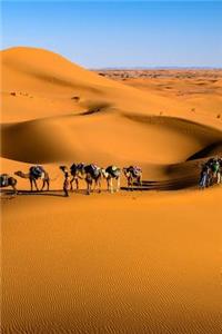 Desert Camel Caravan