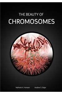 Beauty of Chromosomes