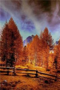 Fall Colors of Trees in The Dolomites of Italy Journal
