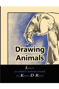 Drawing Animals