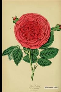 Botanical Print Journal