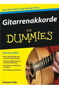 Gitarrenakkorde Fur Dummies