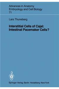 Interstitial Cells of Cajal: Intestinal Pacemaker Cells?