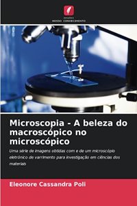Microscopia - A beleza do macroscópico no microscópico
