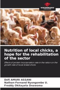 Nutrition of local chicks, a hope for the rehabilitation of the sector