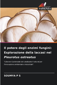 potere degli enzimi fungini: Esplorazione della laccasi nel Pleurotus ostreatus