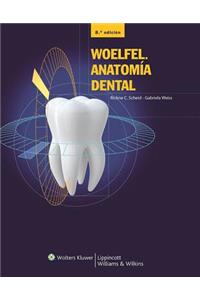 Woelfel. Anatomia Dental