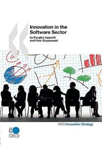 Innovation in the Software Sector