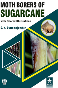 Moth Borers of Sugarcane with Colored IIIustrations