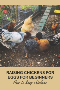 Raising Chickens for Eggs For Beginners