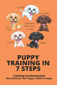Puppy Training In 7 Steps