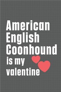 American English Coonhound is my valentine