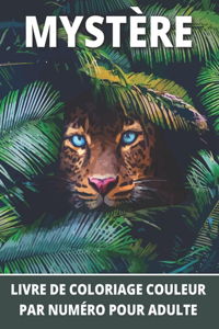 Mystère Livre de coloriage couleur par numéro pour adulte