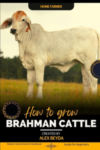 Brahman Cattle