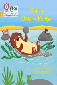 Big Cat Phonics for Little Wandle Letters and Sounds Revised - Not in Otter's Pocket!