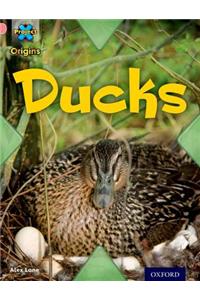 Project X Origins: Pink Book Band, Oxford Level 1+: My Family: Ducks