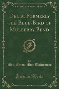 Delia, Formerly the Blue-Bird of Mulberry Bend (Classic Reprint)