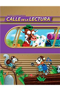 Reading 2010 Spanish (Ai8) Transfer Practice Book Grade 3