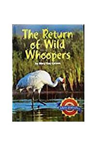 Houghton Mifflin Leveled Readers: Above-Level 6pk Level X the Return of Wild Whoopers