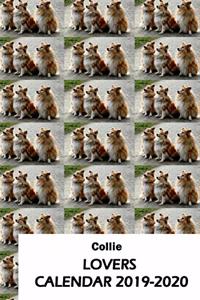 Collie Lovers Calendar 2019-2020
