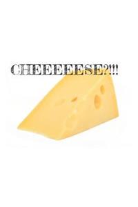 Cheese