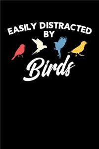 Easily Distracted by Birds