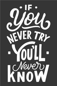 If You Never Try You'll Never Know