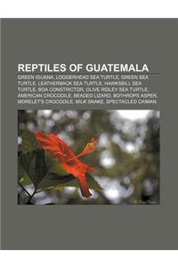Reptiles of Guatemala: Green Iguana, Loggerhead Sea Turtle, Green Sea Turtle, Leatherback Sea Turtle, Hawksbill Sea Turtle, Boa Constrictor