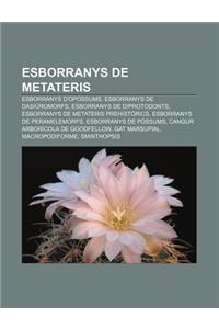 Esborranys de Metateris
