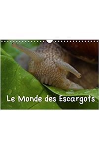 Monde Des Escargots 2018