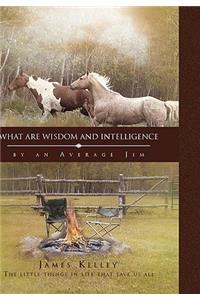 What Are Wisdom and Intelligence