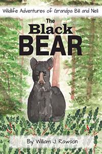 Black Bear