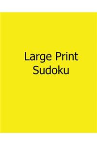 Large Print Sudoku