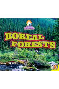 Boreal Forests