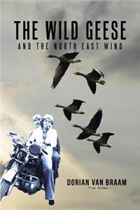Wild Geese and the North East Wind
