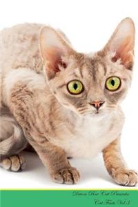 Devon Rex Cat Presents