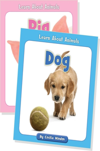 Learn about Animals (Set)