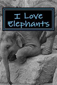 I Love Elephants