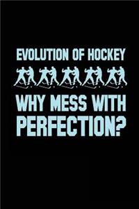 Evolution Of Hockey Why Mess With Perfection