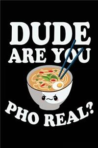 Dude Are You Pho Real?