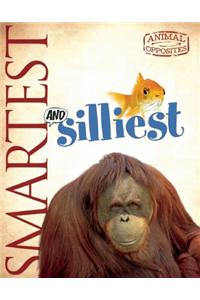 Smartest and Silliest