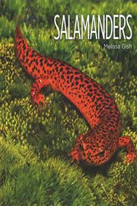 Salamanders