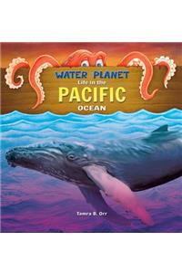 Pacific Ocean