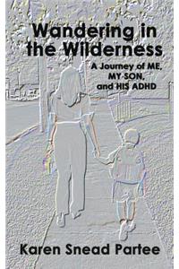 Wandering in the Wilderness-A Journeyof Me, My Son, and His ADHD
